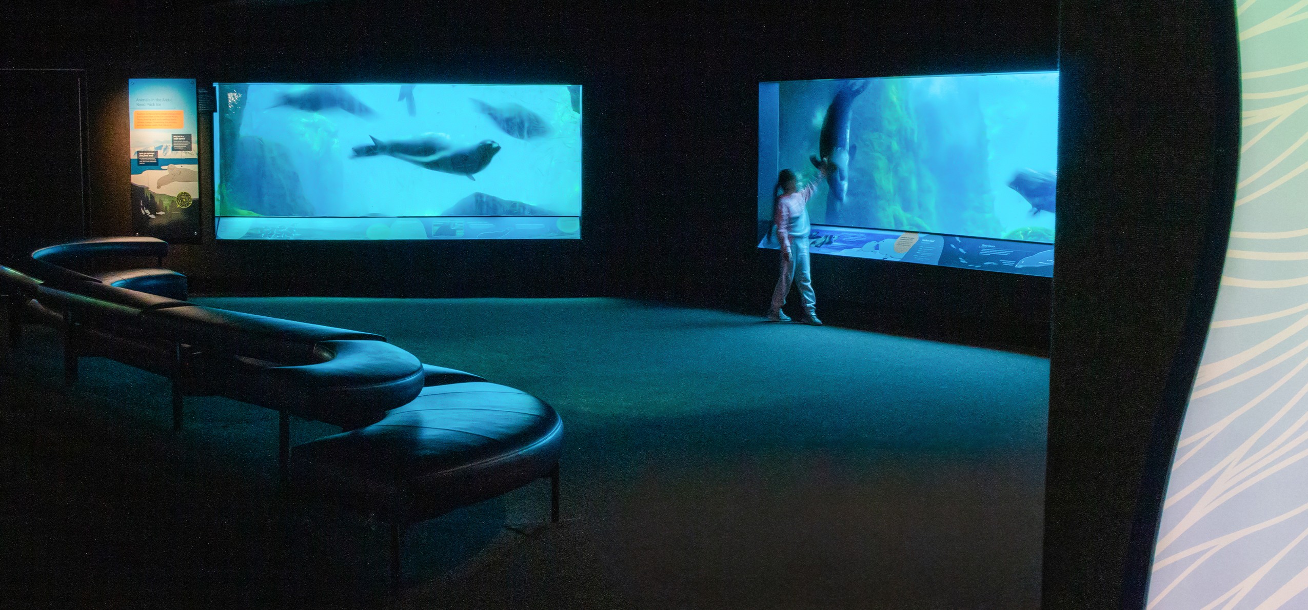 New York Aquarium Sea Change exhibit